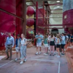 Projectbezoek PAS bv Valencia